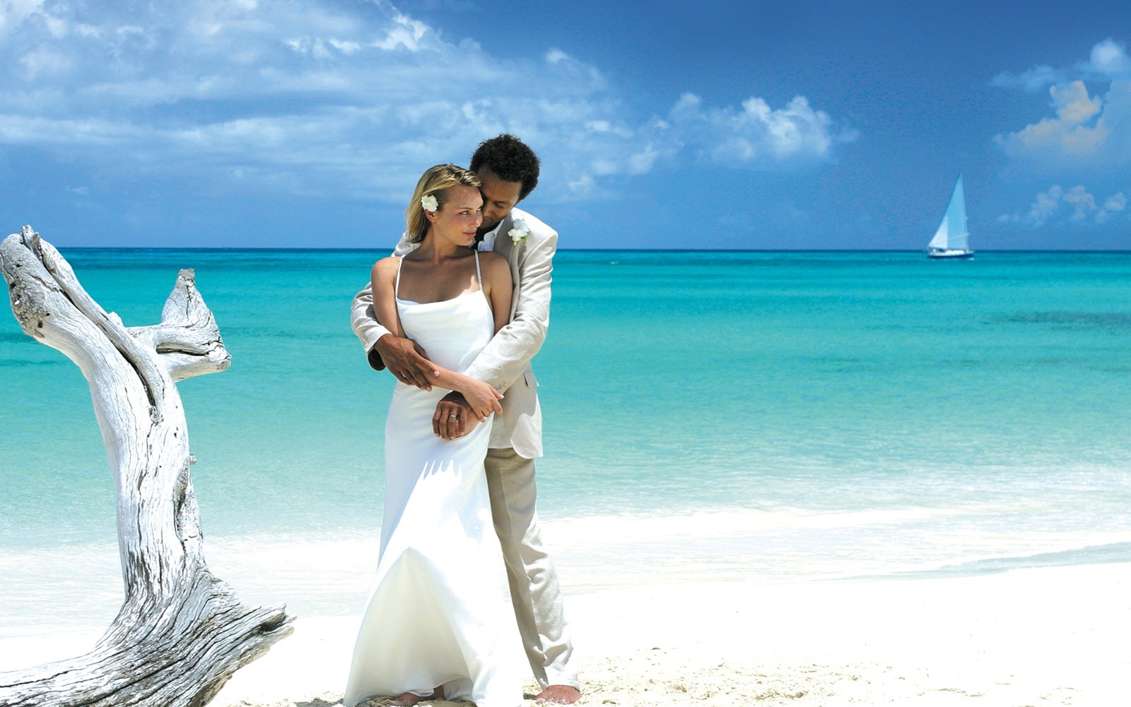 Tropical Dreams Travel Travel Agency Winnipeg 2049998061