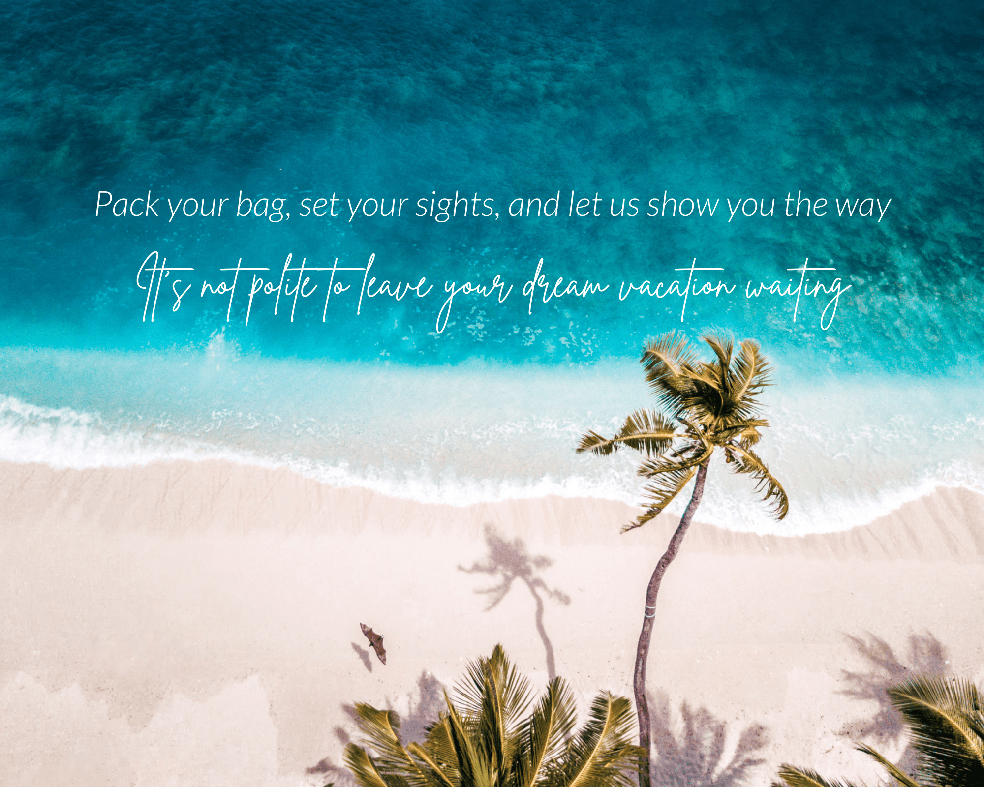 Tropical Dreams Travel Travel Agency Winnipeg 2049998061